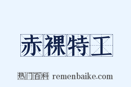 赤裸特工是什么意思的图片